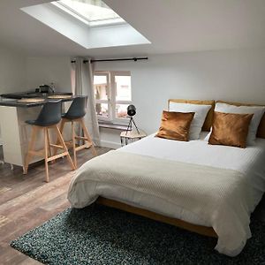 Studio Cocooning Et Refait A Neuf. Lyon 06